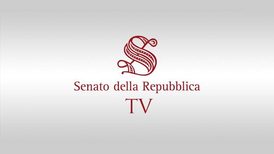 UNAPPA in audizione al Senato per la legge Semplificazione