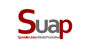 ROMA MARZO 2012: CCIAA e SUAP